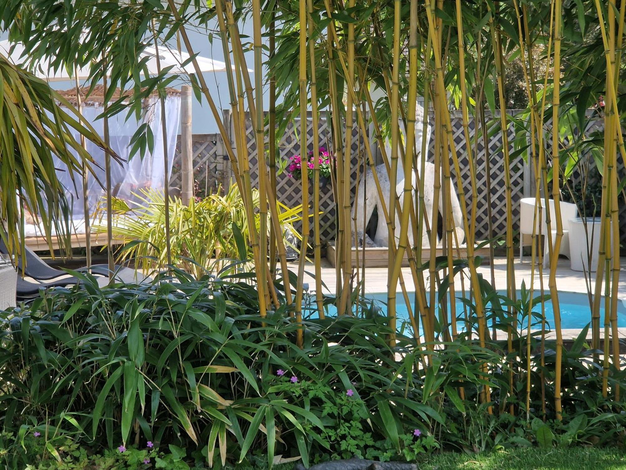 La Serenite Balinaise, Chambre Et Sdb Privee, Jardin , Piscine Et Jacuzzi En Saison, Pres De Chantilly, Parc Asterix Et Cdg Et Paris En 20' Orry-La-Ville Bagian luar foto
